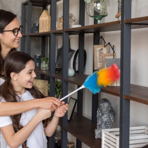 Dusting Demystified: Easy Tips for a Dust-Free Home Without the Hassle