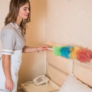 Ultimate Cleaning Tips for Apartment Dwellers: Make the Most of Small Spaces