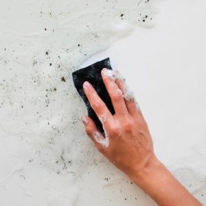 Effective Mold Removal from Walls Guide